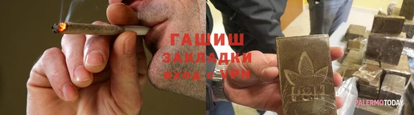 стаф Белокуриха